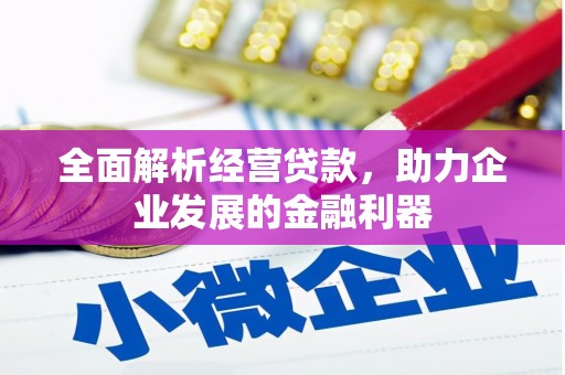前郭尔罗斯全面解析经营贷款，助力企业发展的金融利器