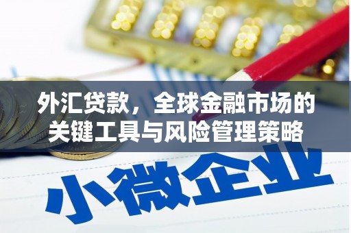 前郭尔罗斯外汇贷款，全球金融市场的关键工具与风险管理策略