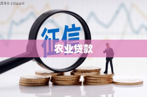 前郭尔罗斯农业贷款