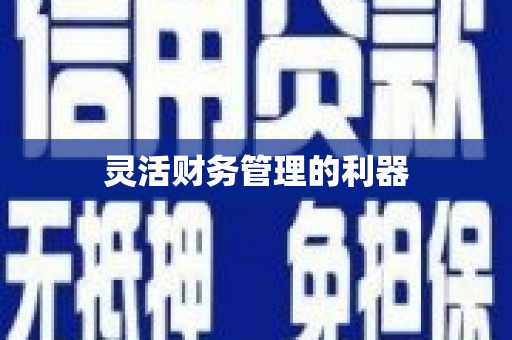 前郭尔罗斯灵活财务管理的利器