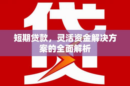 前郭尔罗斯短期贷款，灵活资金解决方案的全面解析