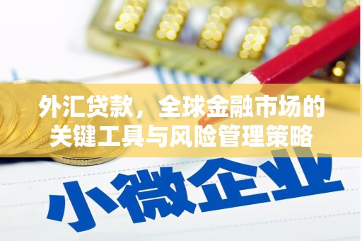 前郭尔罗斯外汇贷款，全球金融市场的关键工具与风险管理策略