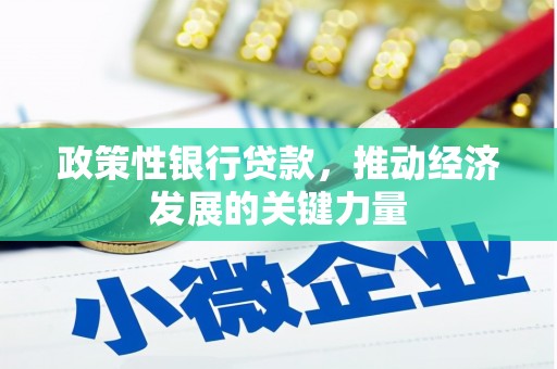 前郭尔罗斯政策性银行贷款，推动经济发展的关键力量