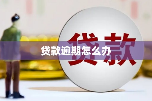 前郭尔罗斯贷款逾期怎么办