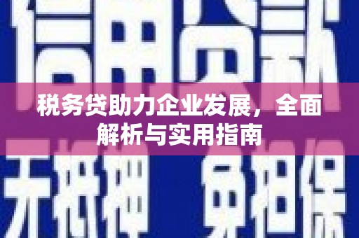 前郭尔罗斯税务贷助力企业发展，全面解析与实用指南