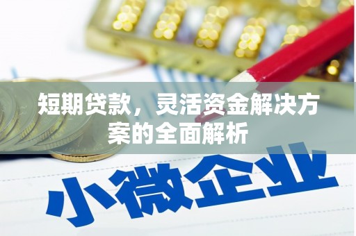 前郭尔罗斯短期贷款，灵活资金解决方案的全面解析