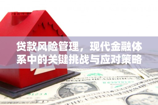 前郭尔罗斯贷款风险管理，现代金融体系中的关键挑战与应对策略