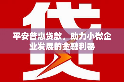 前郭尔罗斯平安普惠贷款，助力小微企业发展的金融利器