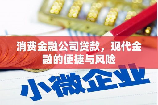 前郭尔罗斯消费金融公司贷款，现代金融的便捷与风险
